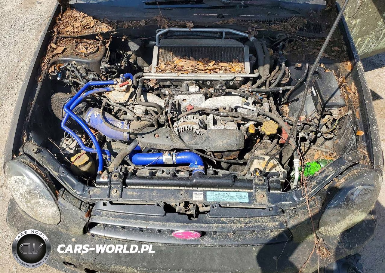 2002 Subaru Impreza Wrx VIN:JF1GG29612G820682 - 11