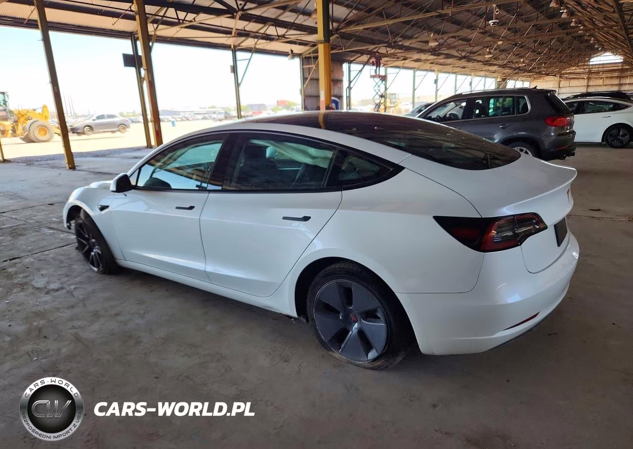 2023 Tesla Model 3 VIN:5YJ3E1EB4PF388862 - 2