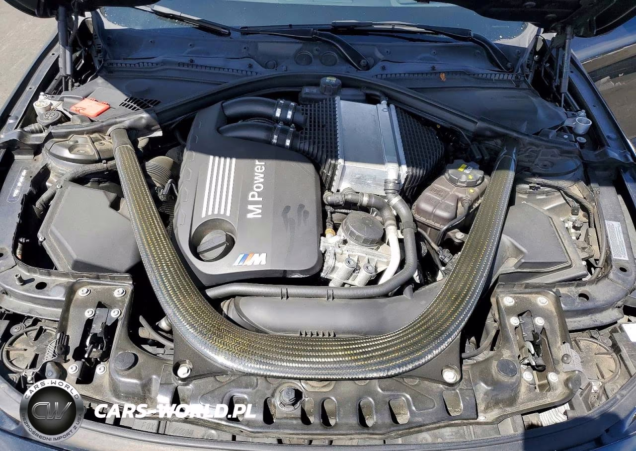 2016 BMW M4 VIN:WBS3R9C5XGK337958 - 11