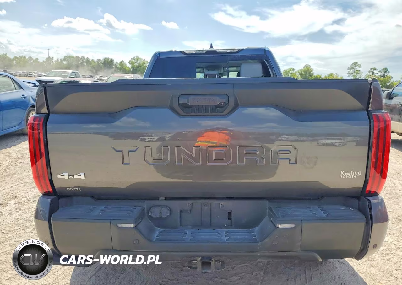 2024 Toyota Tundra Double Cab Sr VIN:5TFLA5DA9RX177953 - 6