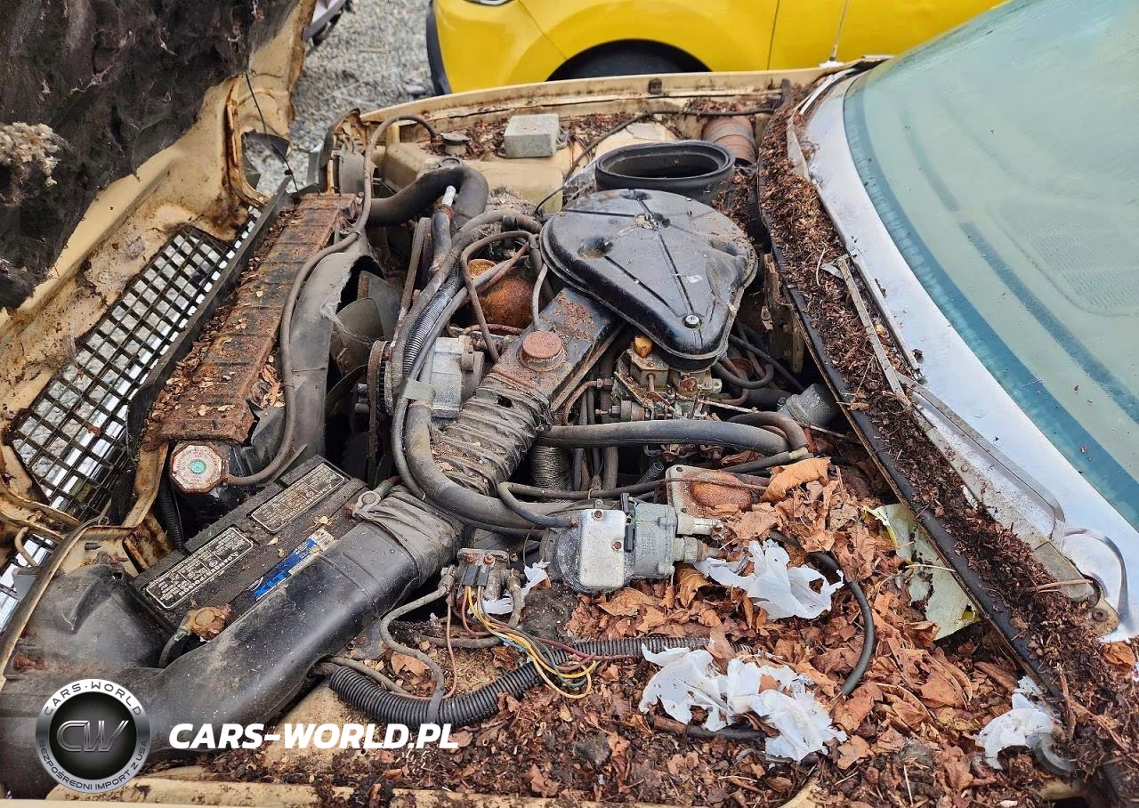 1976 American Motors Pacer VIN:A9A687C128381 - 12