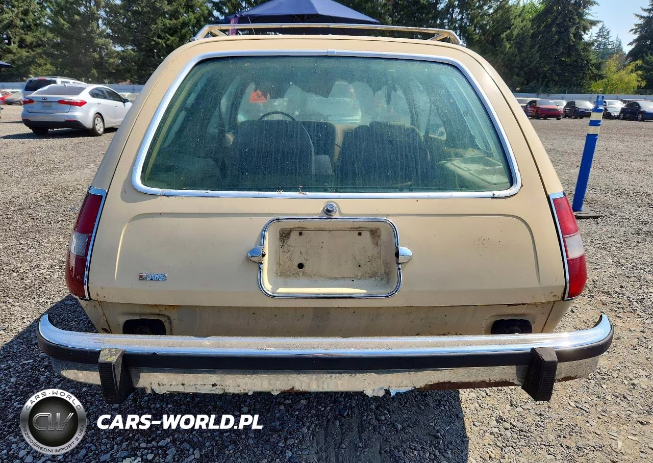 1976 American Motors Pacer VIN:A9A687C128381 - 6