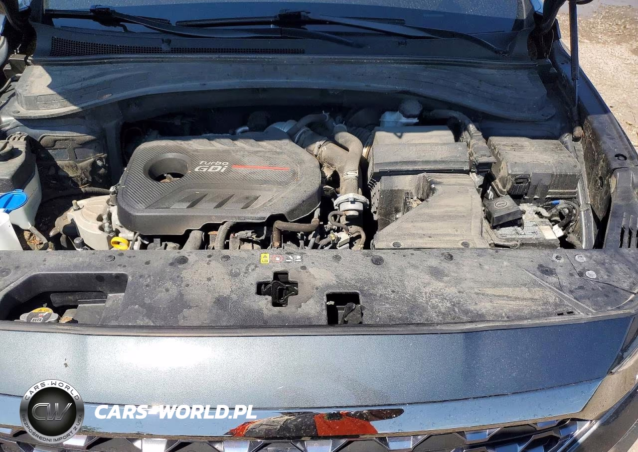 2020 Hyundai Santa Fe Limited 2.0T VIN:5NMS5CAA5LH205367 - 12