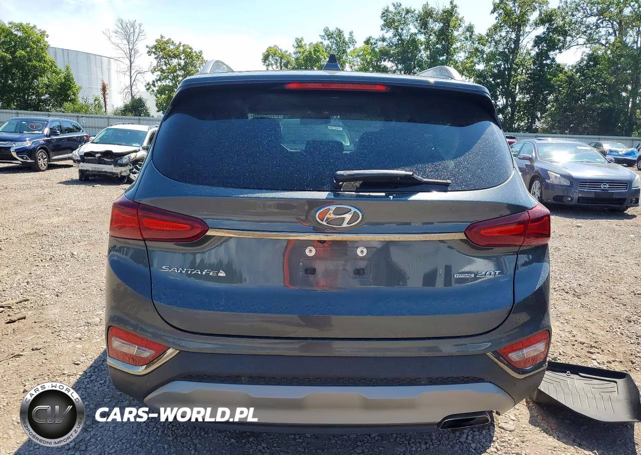 2020 Hyundai Santa Fe Limited 2.0T VIN:5NMS5CAA5LH205367 - 6