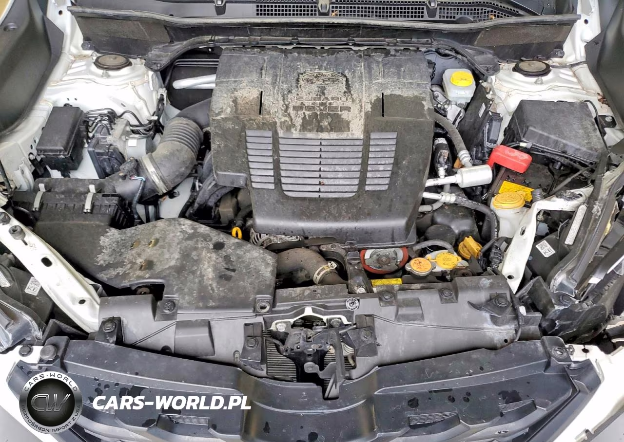 2023 Subaru Forester Wilderness VIN:JF2SKAMC5PH422906 - 12