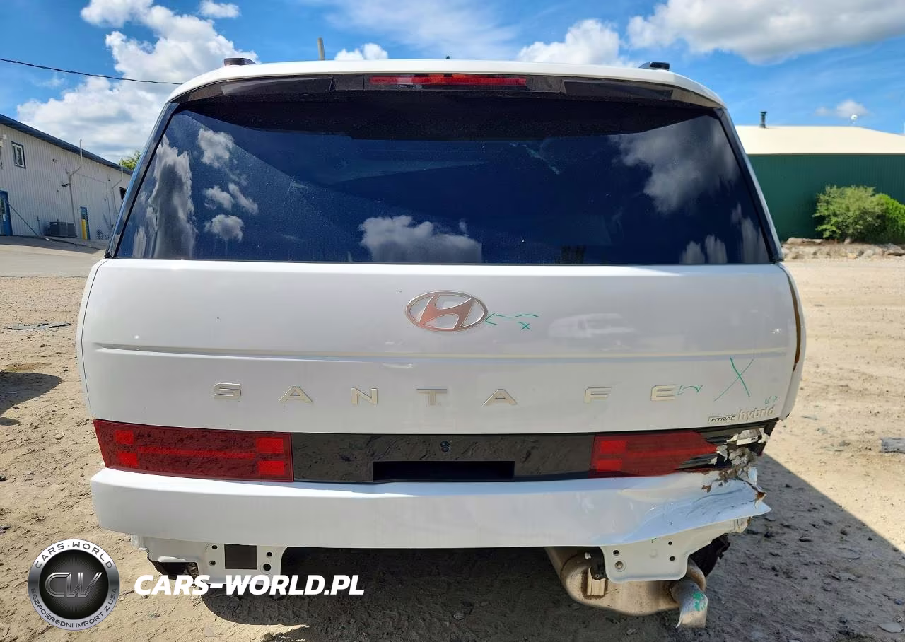 2025 Hyundai Santa Fe Limited VIN:5NMP3DG1XSH041766 - 6