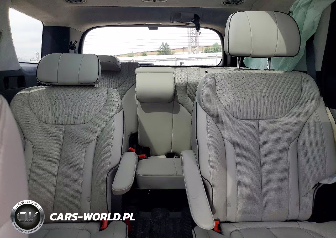 2025 Hyundai Palisade Calligraphy VIN:KM8R7DGE9SU854133 - 10