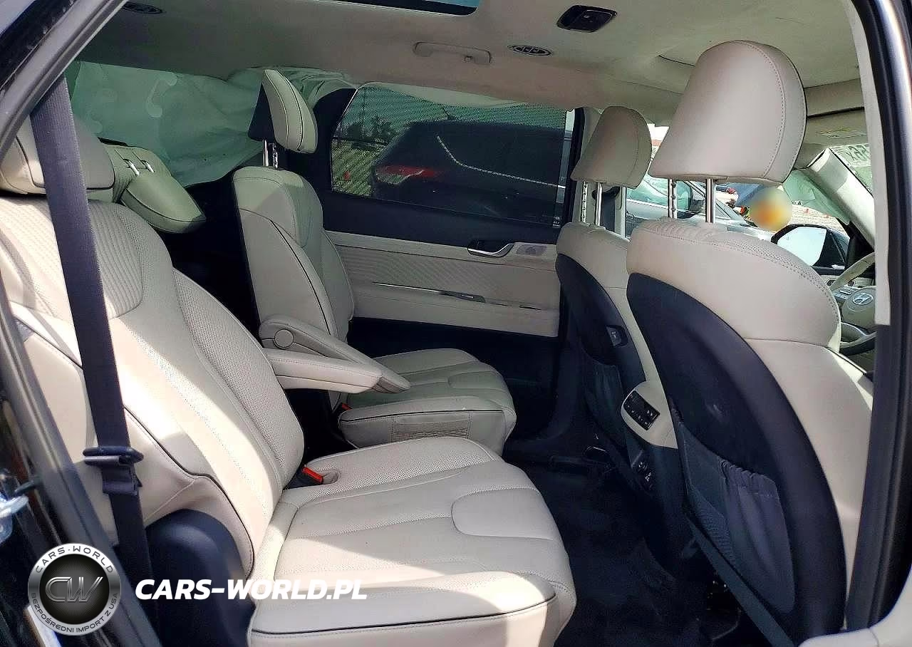 2025 Hyundai Palisade Calligraphy VIN:KM8R7DGE9SU854133 - 11