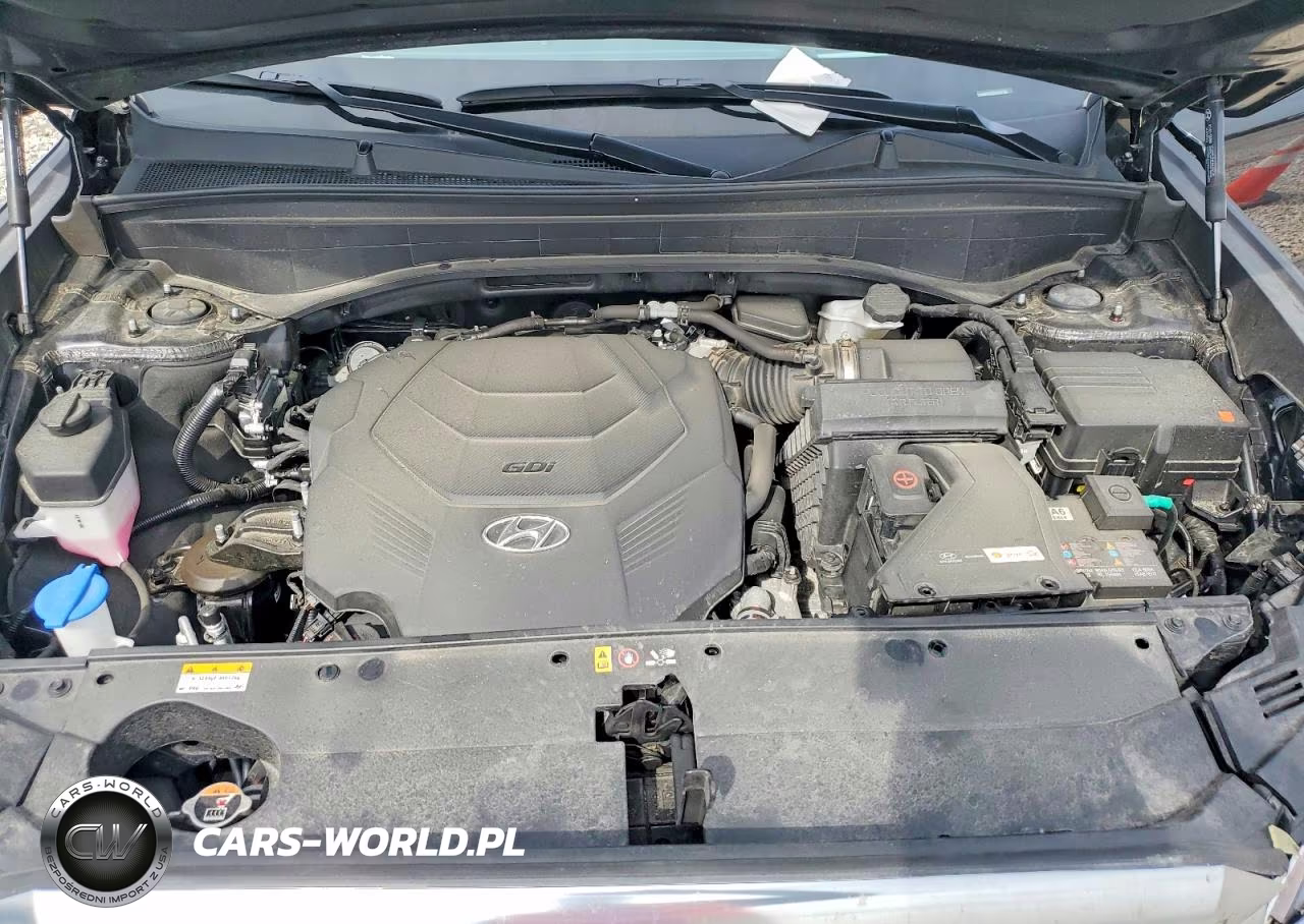 2025 Hyundai Palisade Calligraphy VIN:KM8R7DGE9SU854133 - 12