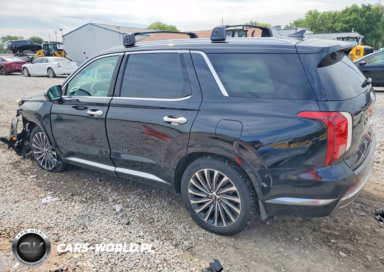 2025 Hyundai Palisade Calligraphy VIN:KM8R7DGE9SU854133 - 2