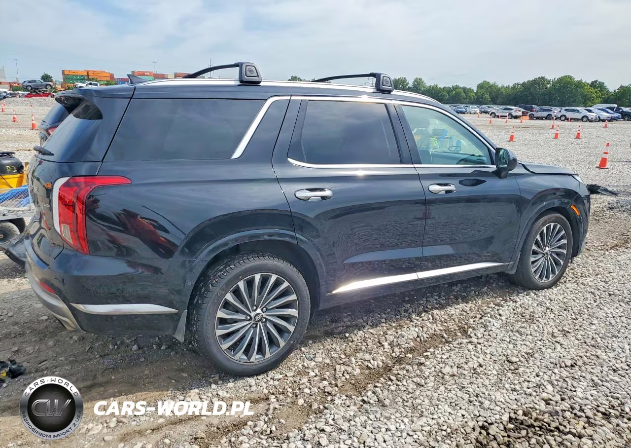 2025 Hyundai Palisade Calligraphy VIN:KM8R7DGE9SU854133 - 3