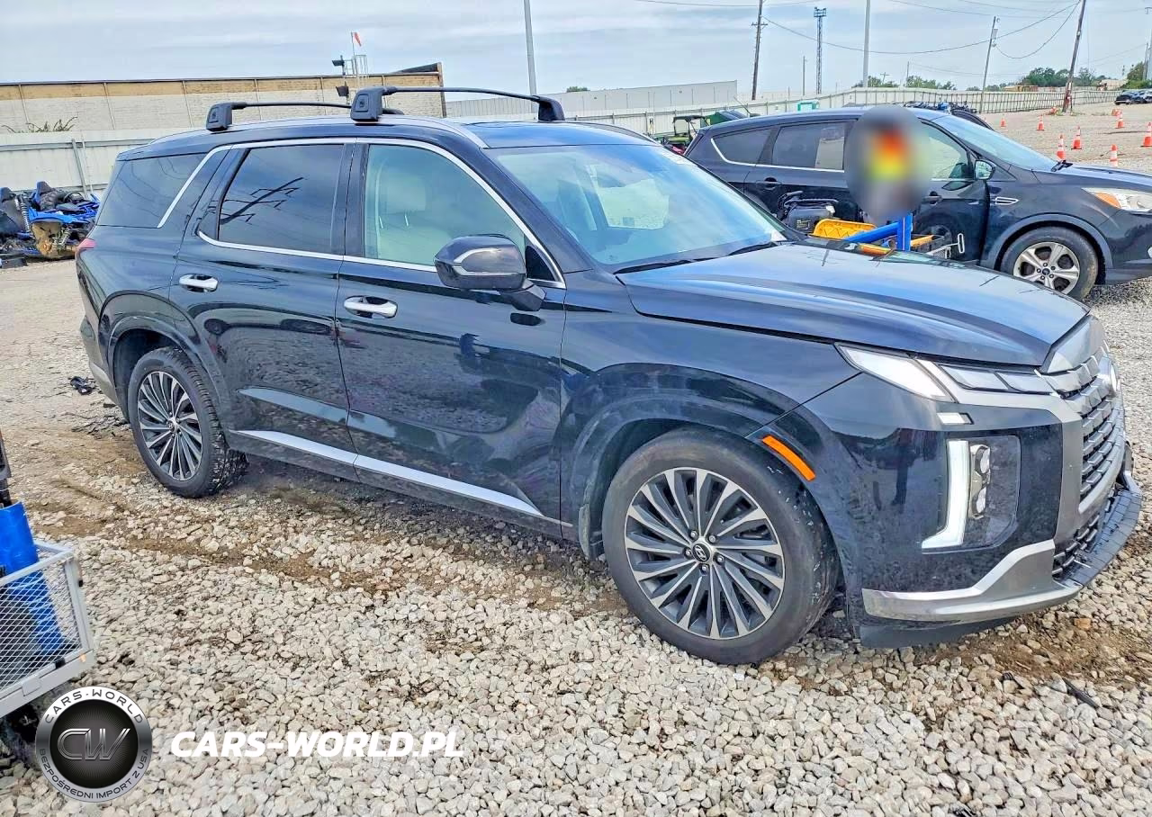2025 Hyundai Palisade Calligraphy VIN:KM8R7DGE9SU854133 - 4