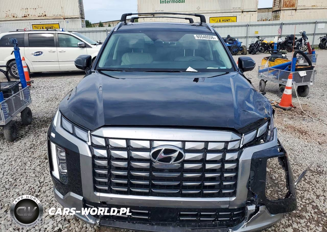 2025 Hyundai Palisade Calligraphy VIN:KM8R7DGE9SU854133 - 5