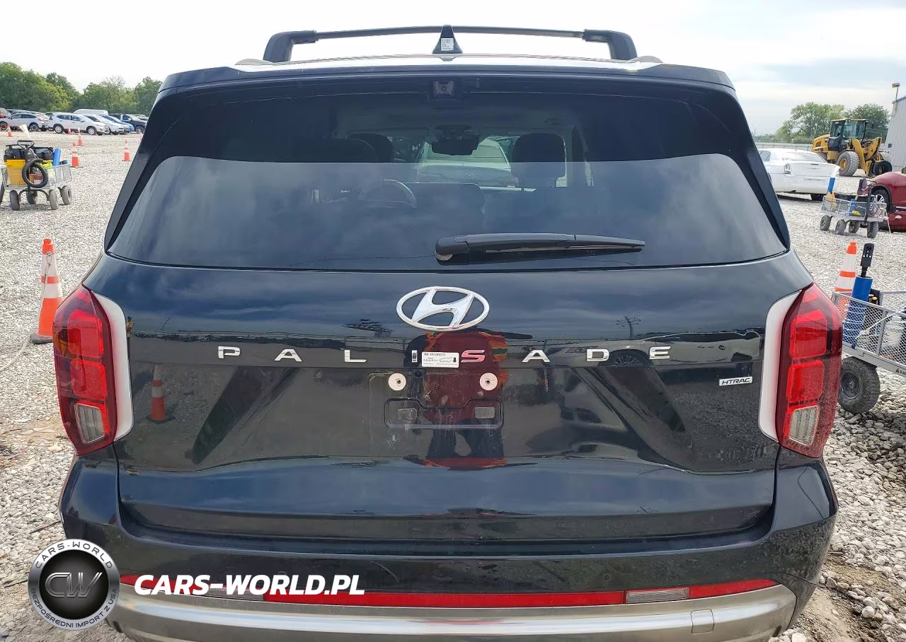 2025 Hyundai Palisade Calligraphy VIN:KM8R7DGE9SU854133 - 6