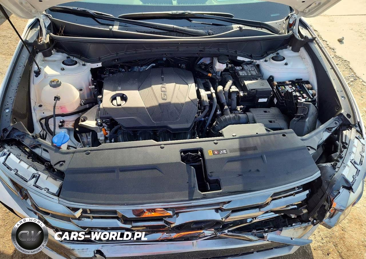 2025 Hyundai Tucson Limited VIN:3KMJE3DEXSE022771 - 11