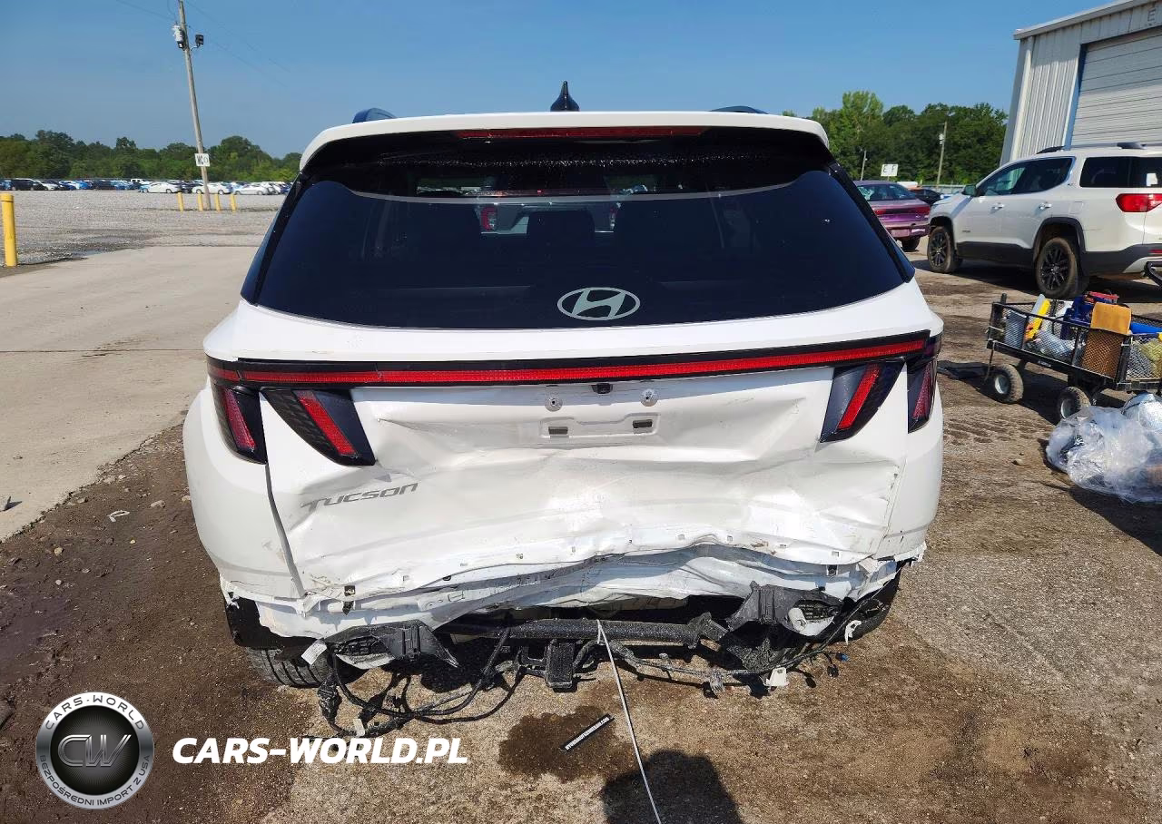 2025 Hyundai Tucson Limited VIN:3KMJE3DEXSE022771 - 6