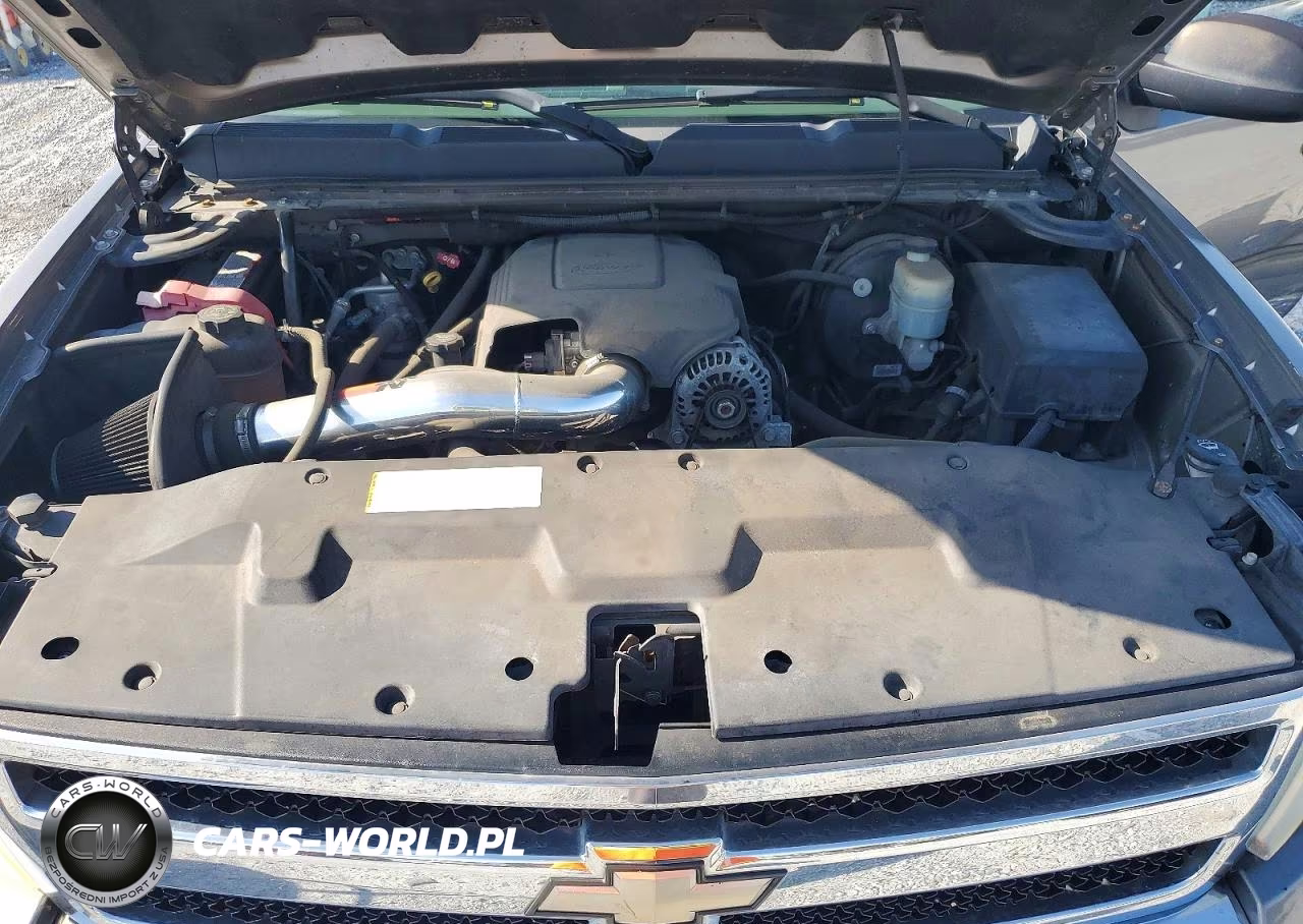 2009 Chevrolet Silverado C1500 VIN:3GCEC13CX9G116324 - 11