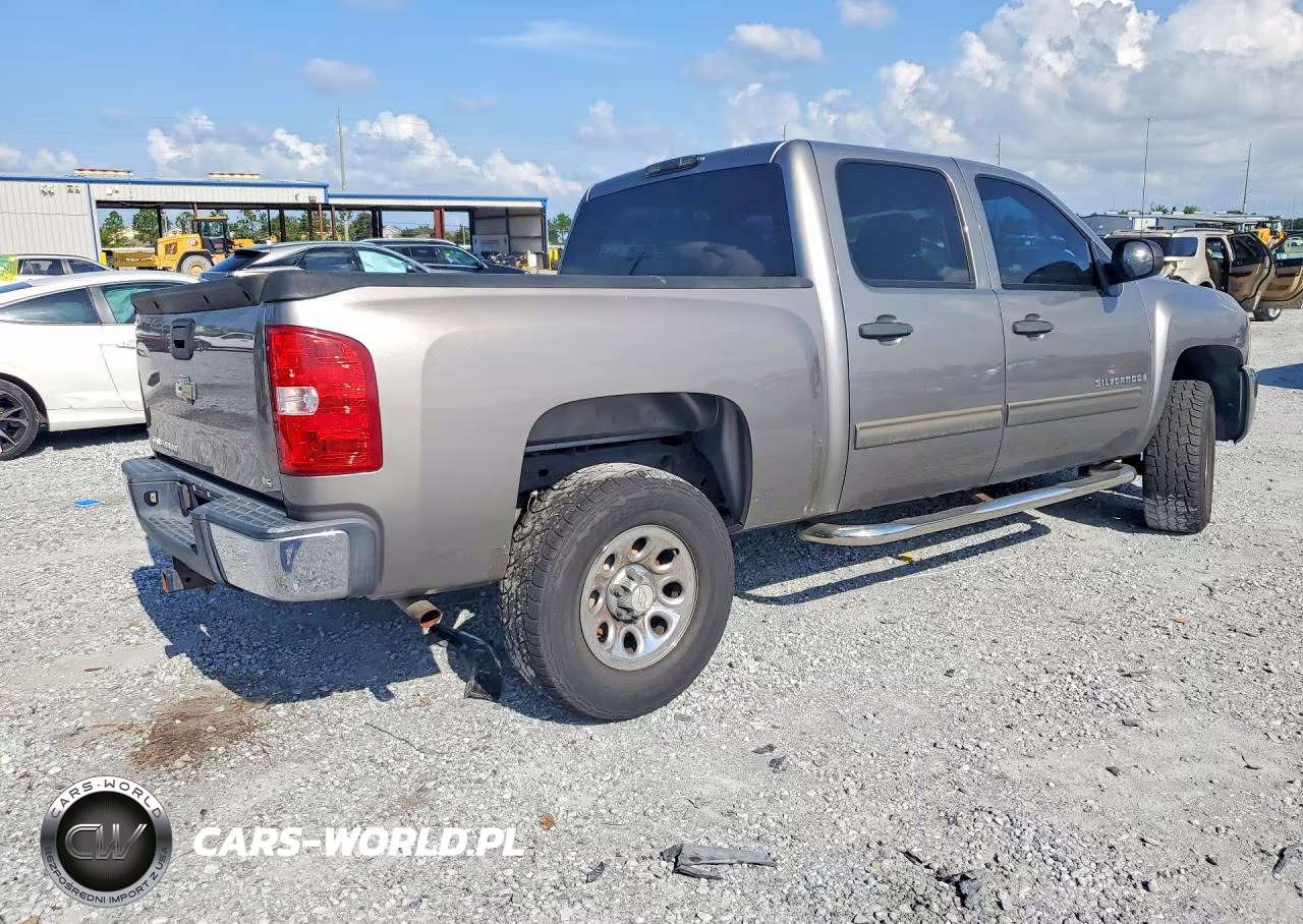 2009 Chevrolet Silverado C1500 VIN:3GCEC13CX9G116324 - 3