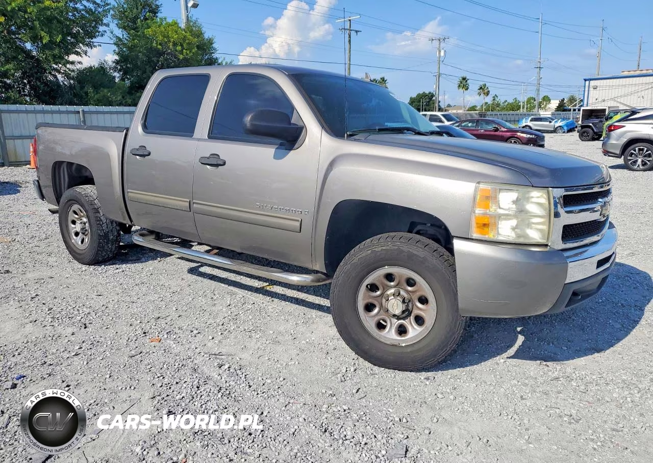 2009 Chevrolet Silverado C1500 VIN:3GCEC13CX9G116324 - 4