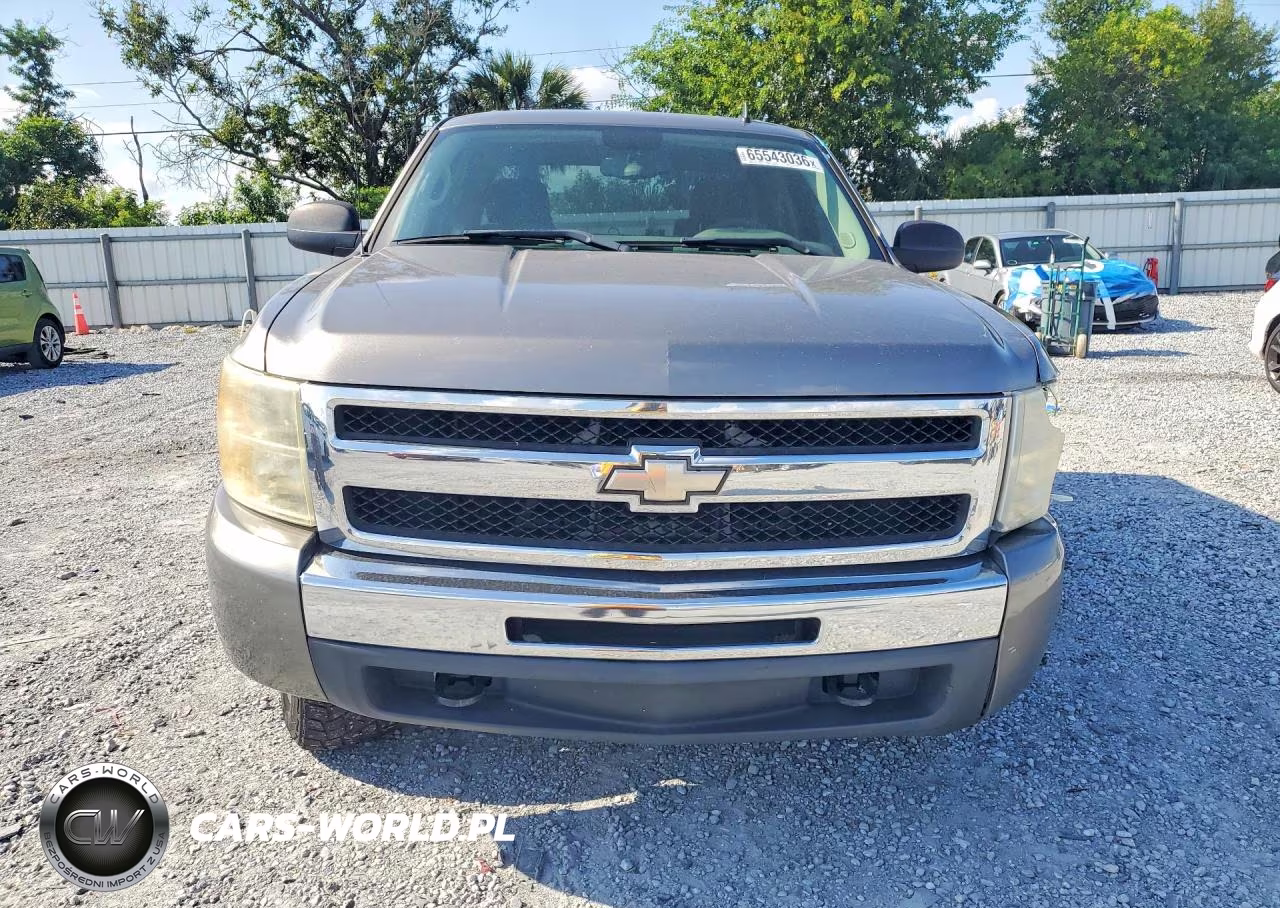 2009 Chevrolet Silverado C1500 VIN:3GCEC13CX9G116324 - 5