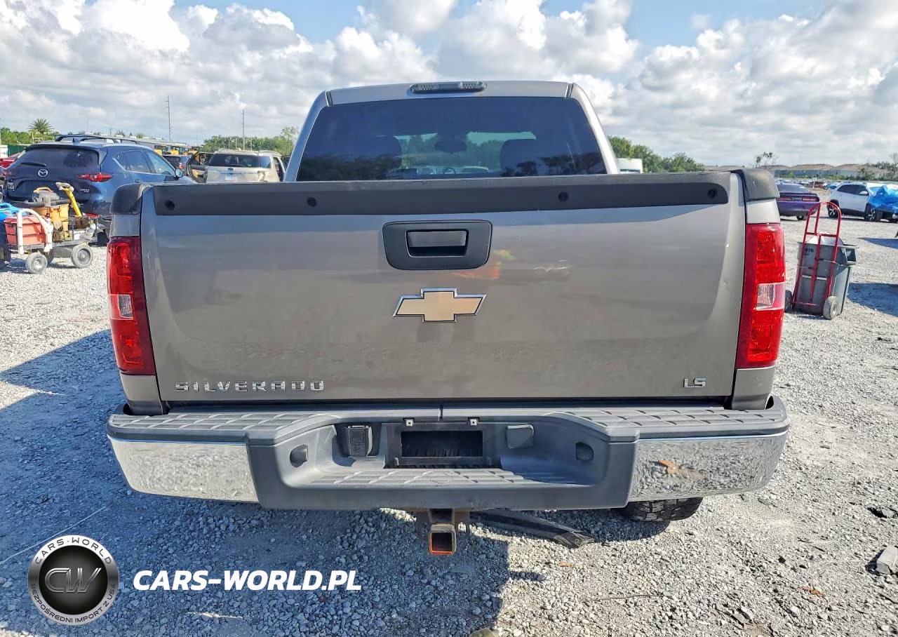2009 Chevrolet Silverado C1500 VIN:3GCEC13CX9G116324 - 6