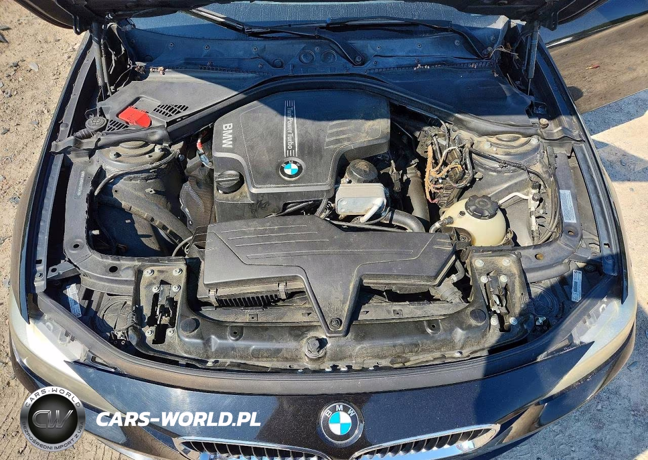 2014 BMW 320 I VIN:WBA3B1C55EK131342 - 11