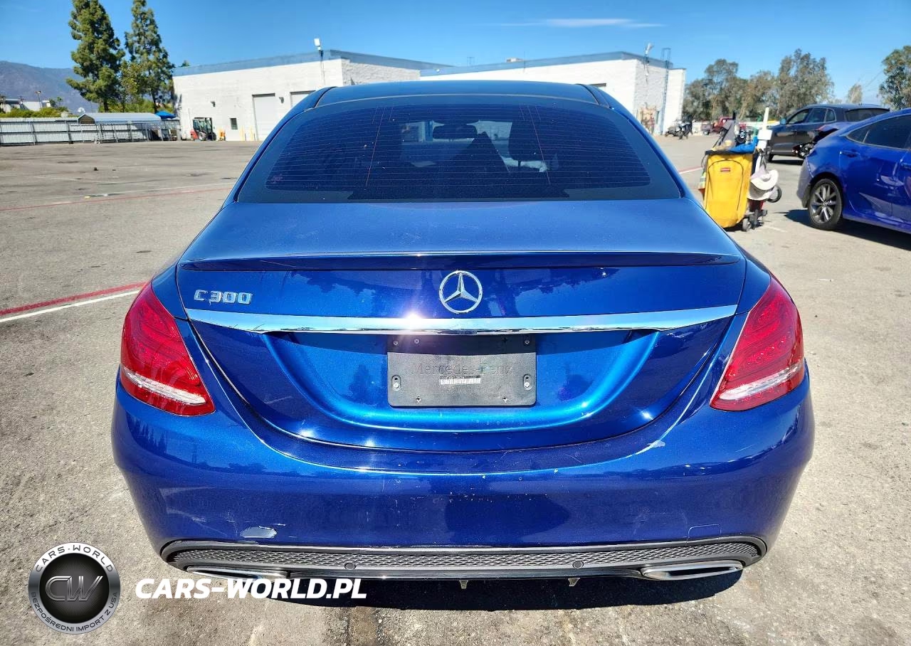 2018 Mercedes-Benz C 300 VIN:55SWF4JB4JU250987 - 6