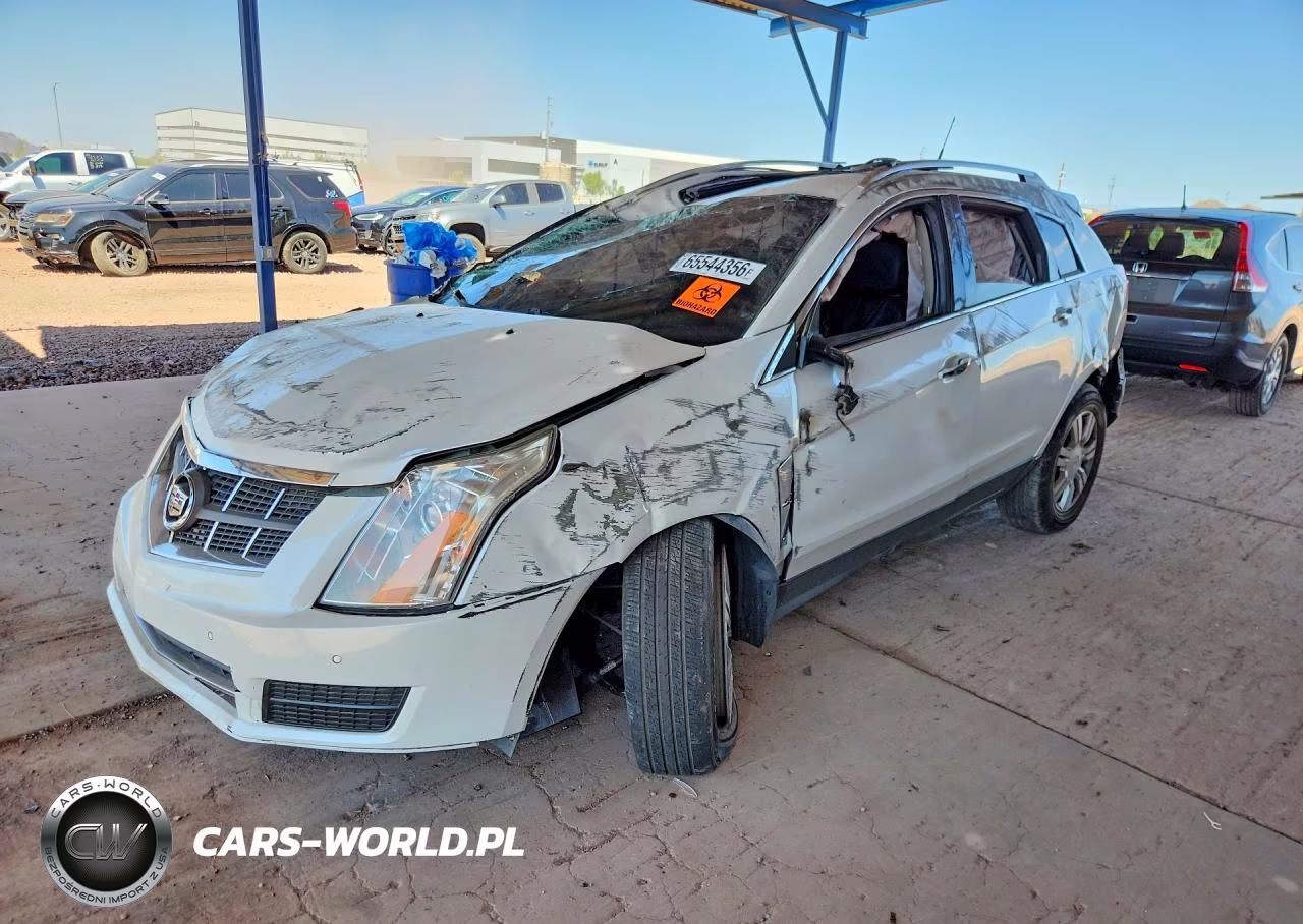 2010 Cadillac Srx Luxury Collection VIN:3GYFNAEY0AS626684 - 1