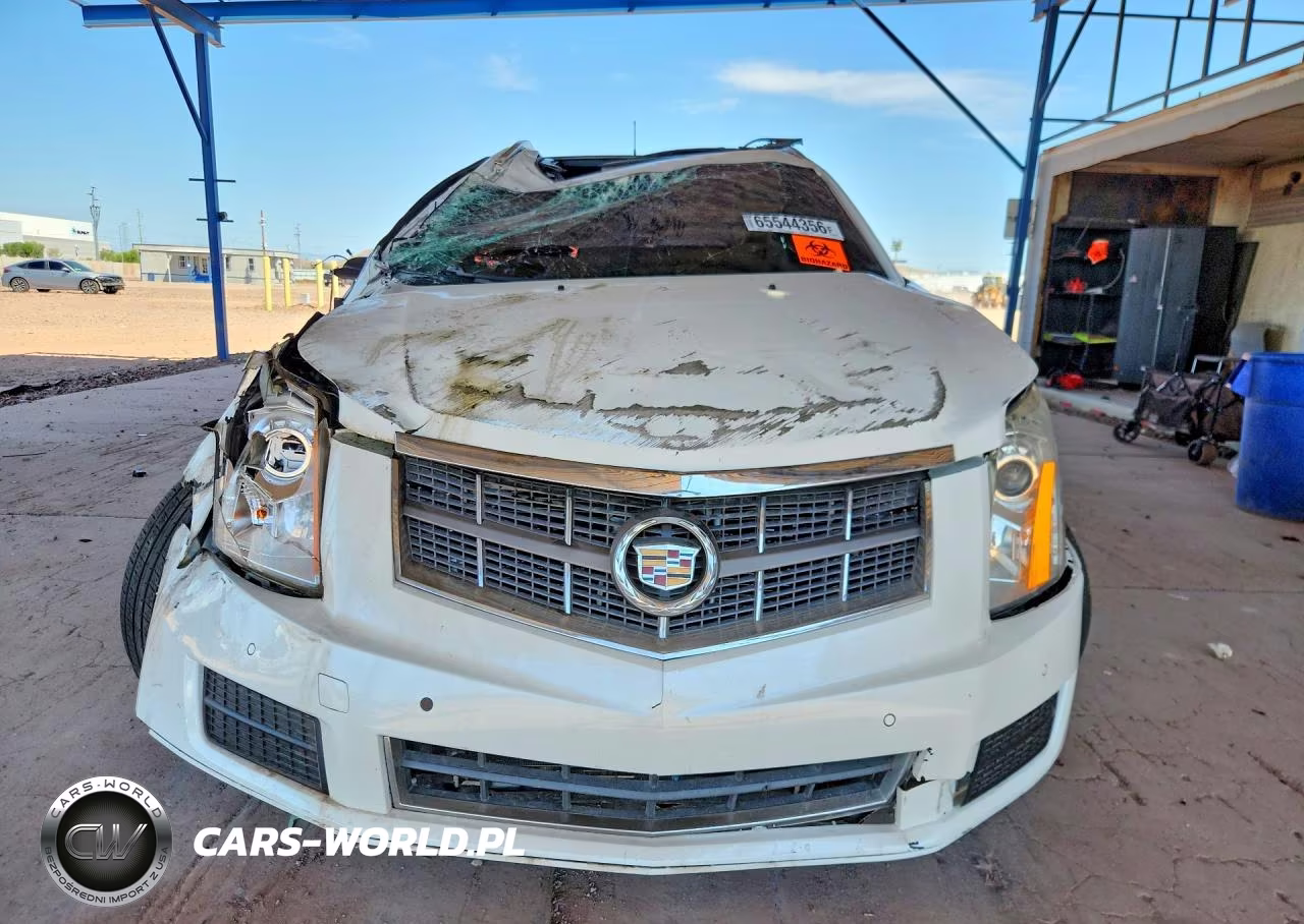 2010 Cadillac Srx Luxury Collection VIN:3GYFNAEY0AS626684 - 5