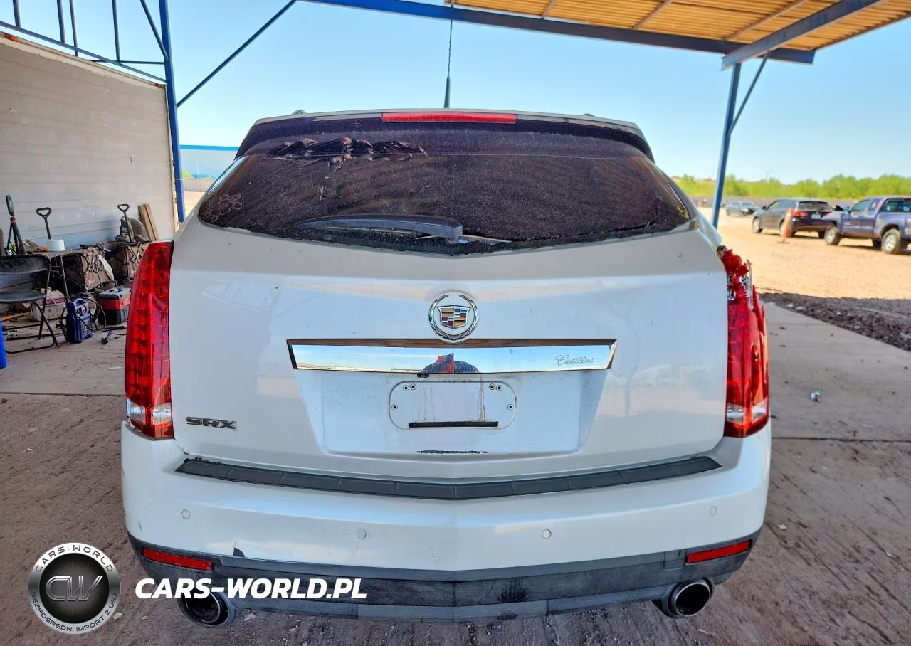 2010 Cadillac Srx Luxury Collection VIN:3GYFNAEY0AS626684 - 6