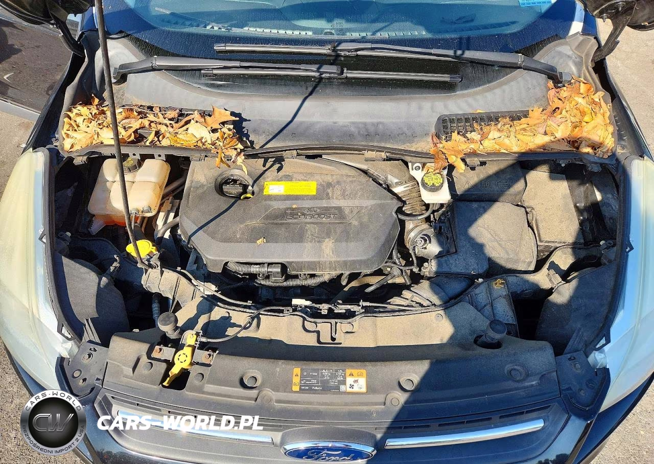 2015 Ford Escape Se VIN:1FMCU9GX6FUC33709 - 12