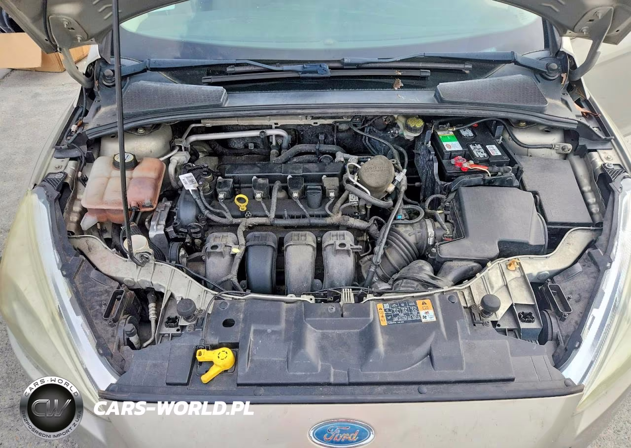 2015 Ford Focus Se VIN:1FADP3F25FL230444 - 11