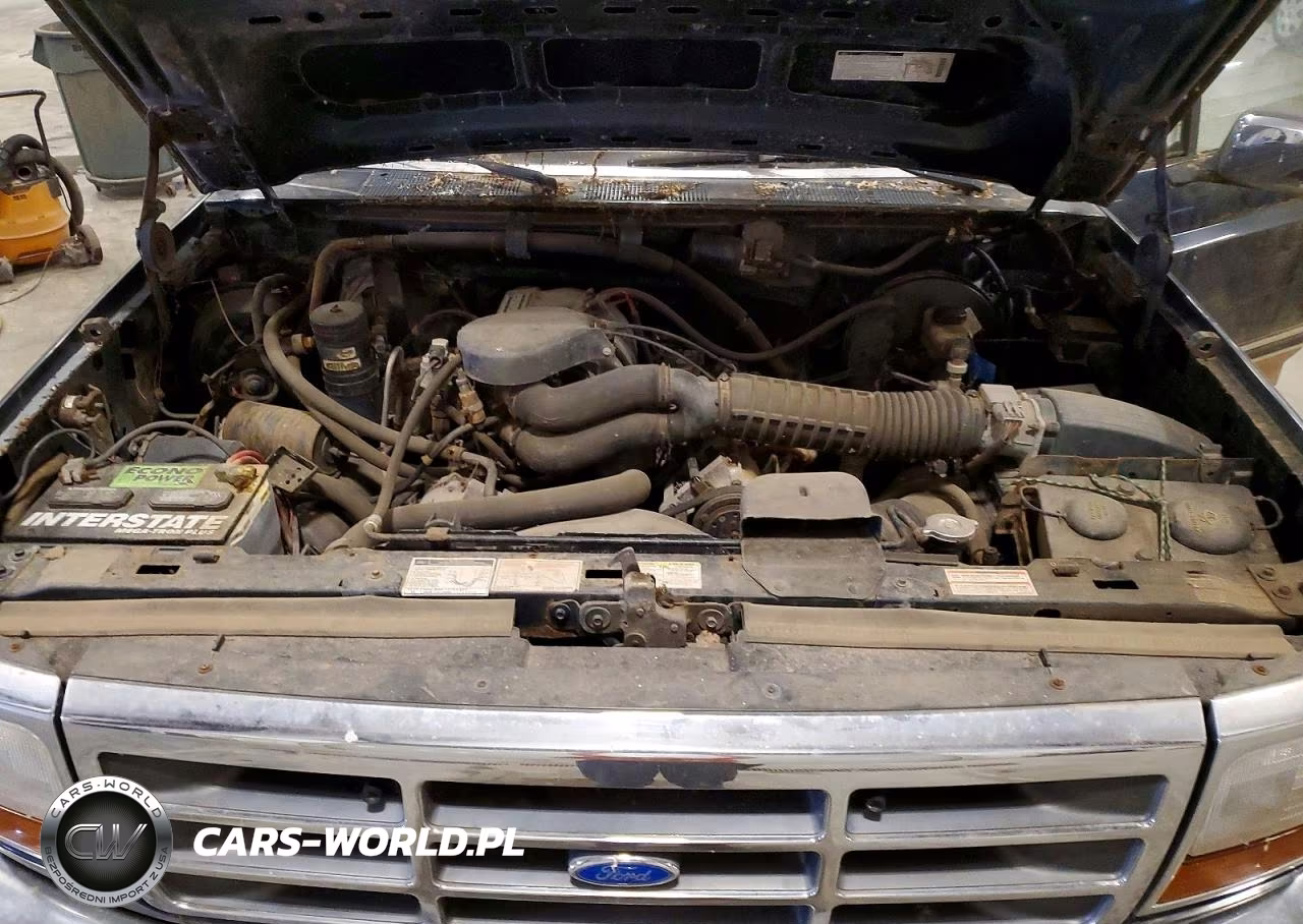 1994 Ford F150 VIN:1FTEX14N4RKA51175 - 11