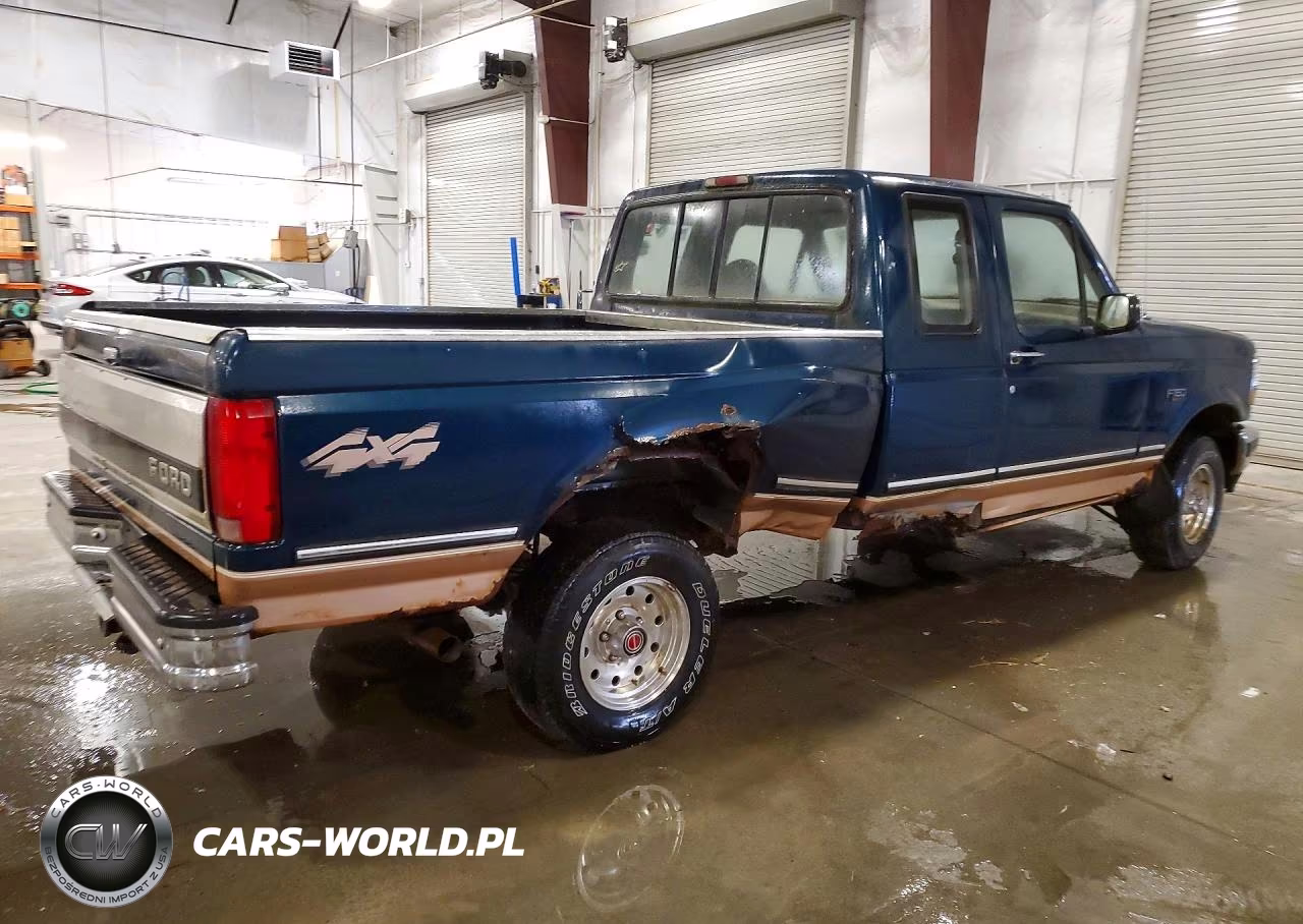 1994 Ford F150 VIN:1FTEX14N4RKA51175 - 3