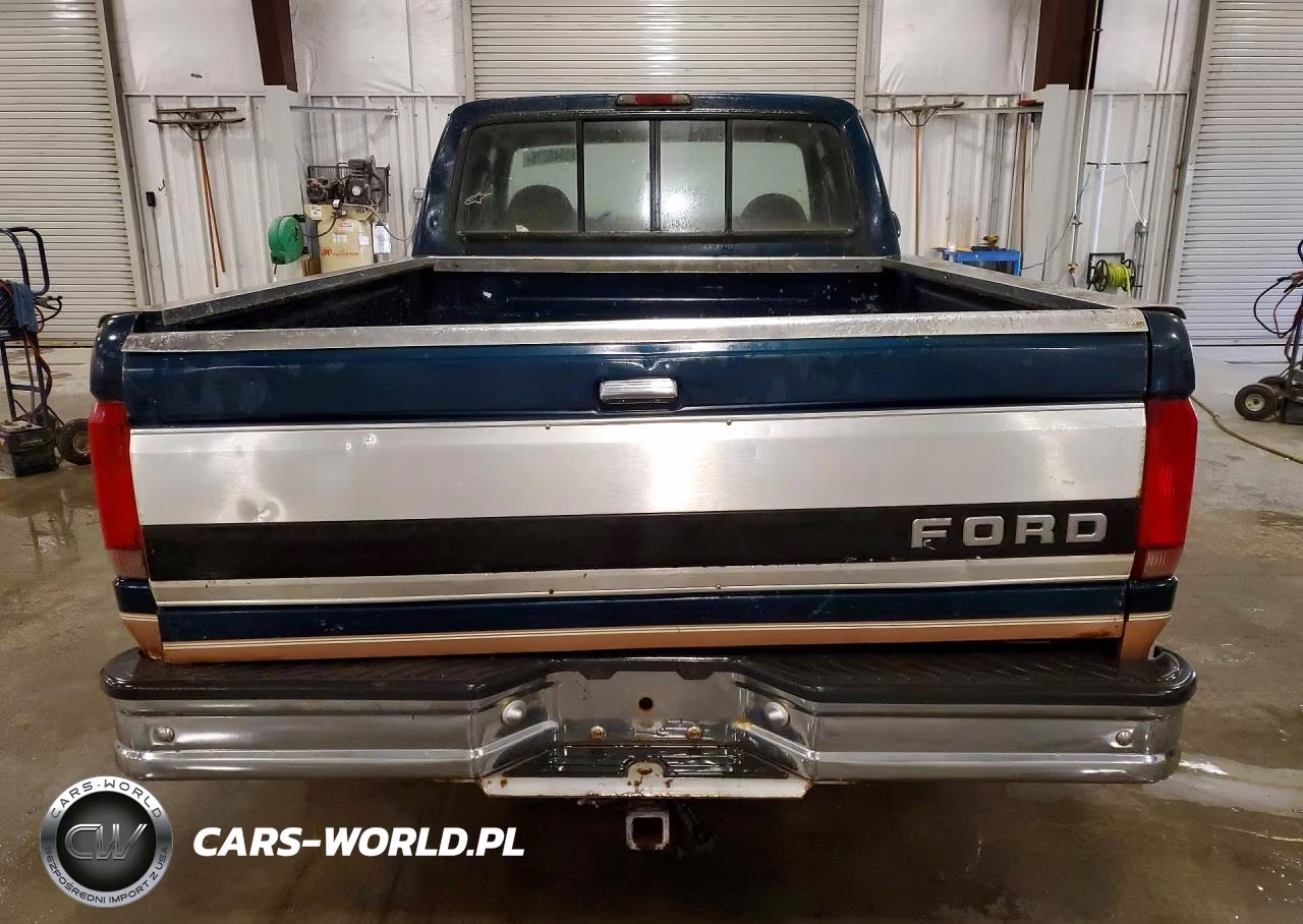1994 Ford F150 VIN:1FTEX14N4RKA51175 - 6