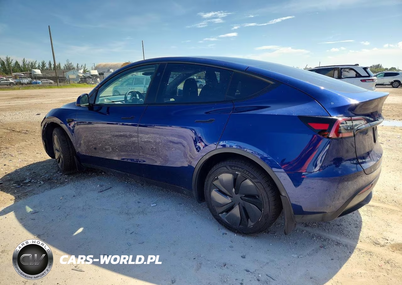 2024 Tesla Model Y VIN:7SAYGAEE8RF100874 - 2