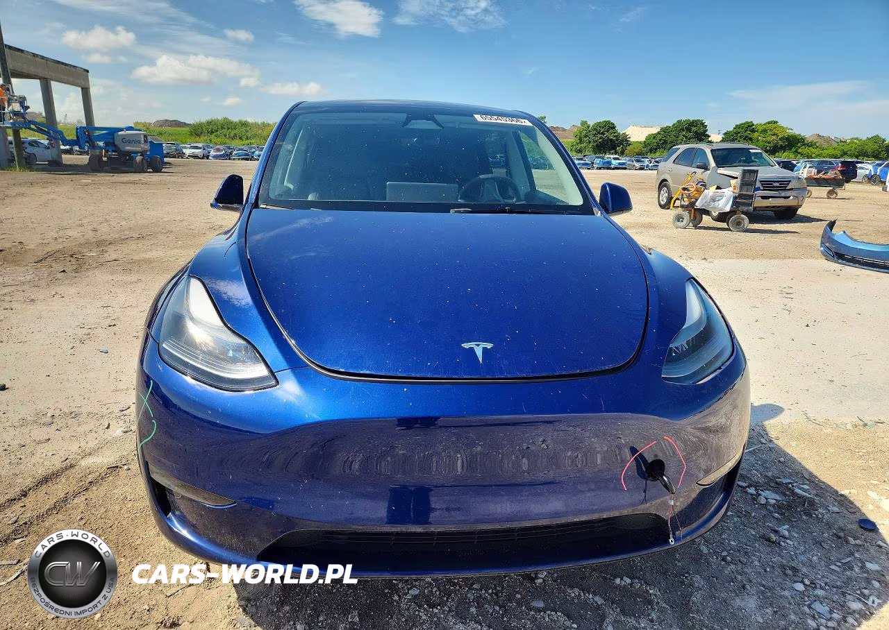 2024 Tesla Model Y VIN:7SAYGAEE8RF100874 - 5