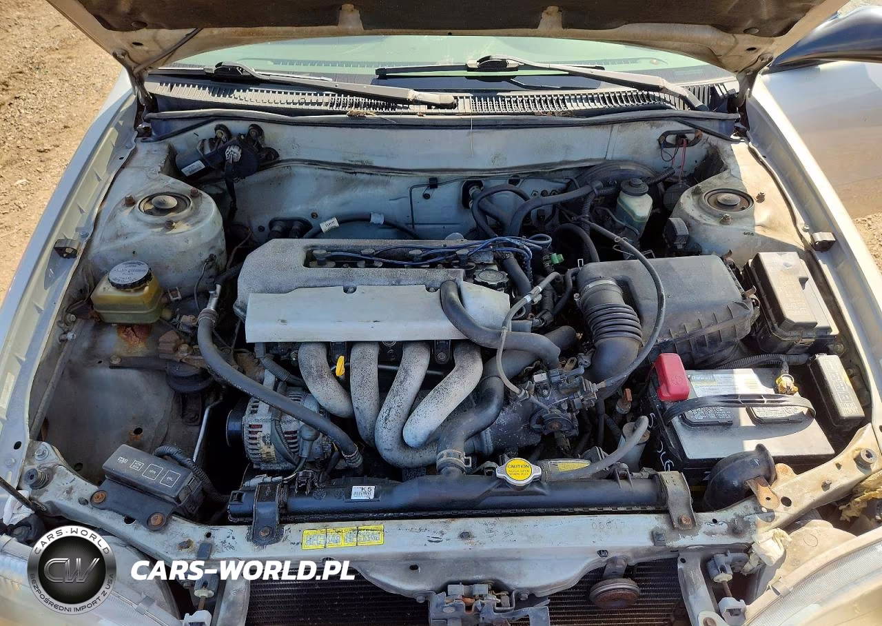 1999 Toyota Corolla Ve VIN:1NXBR12E8XZ296140 - 11