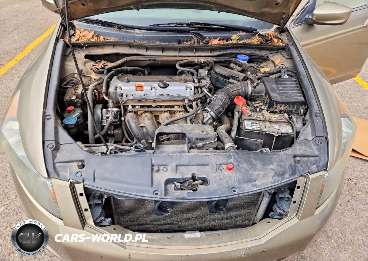 2010 Honda Accord Ex VIN:1HGCP2F7XAA107689 - 11
