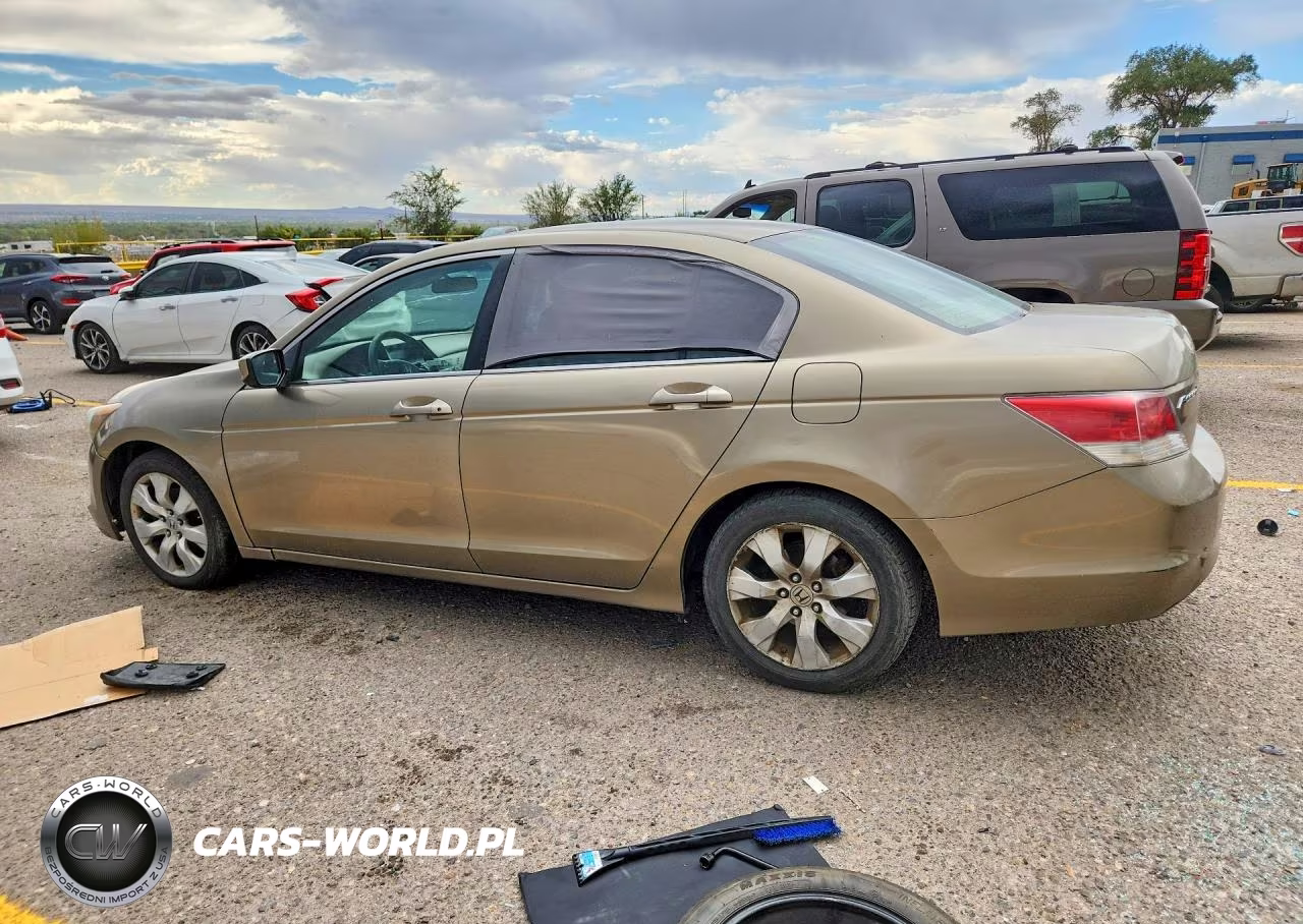2010 Honda Accord Ex VIN:1HGCP2F7XAA107689 - 2