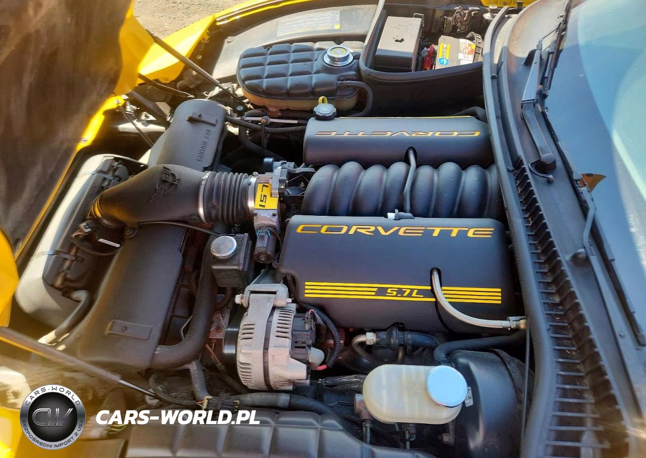 2001 Chevrolet Corvette VIN:1G1YY32G615106165 - 11