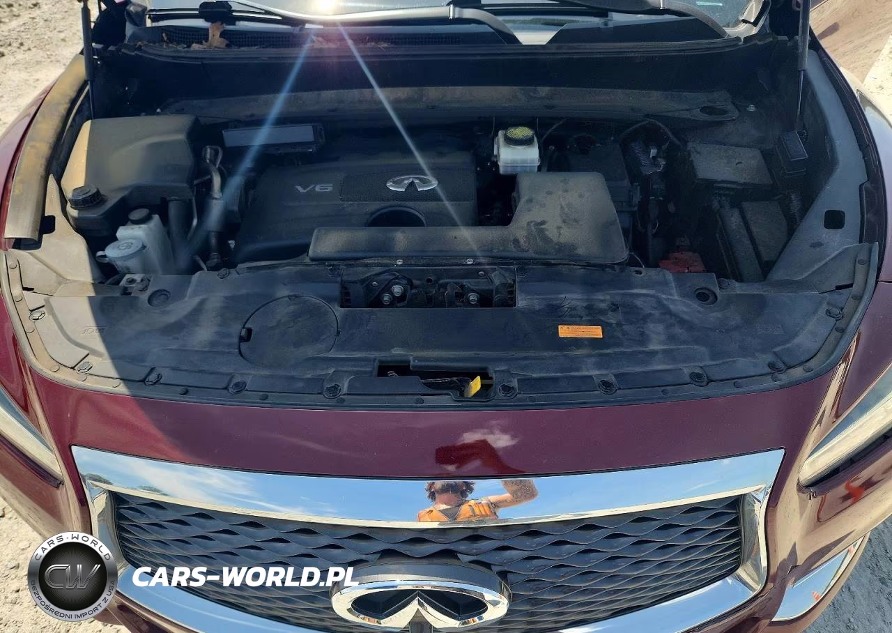2019 Infiniti Qx60 Luxe VIN:5N1DL0MM9KC533810 - 12