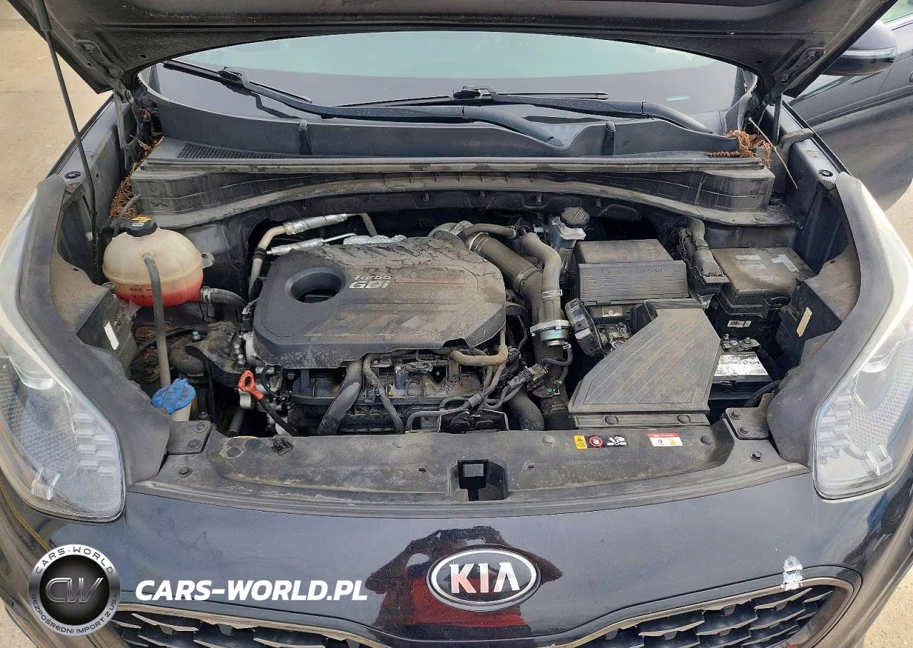 2022 Kia Sportage Sx VIN:KNDPR3A68N7987650 - 12