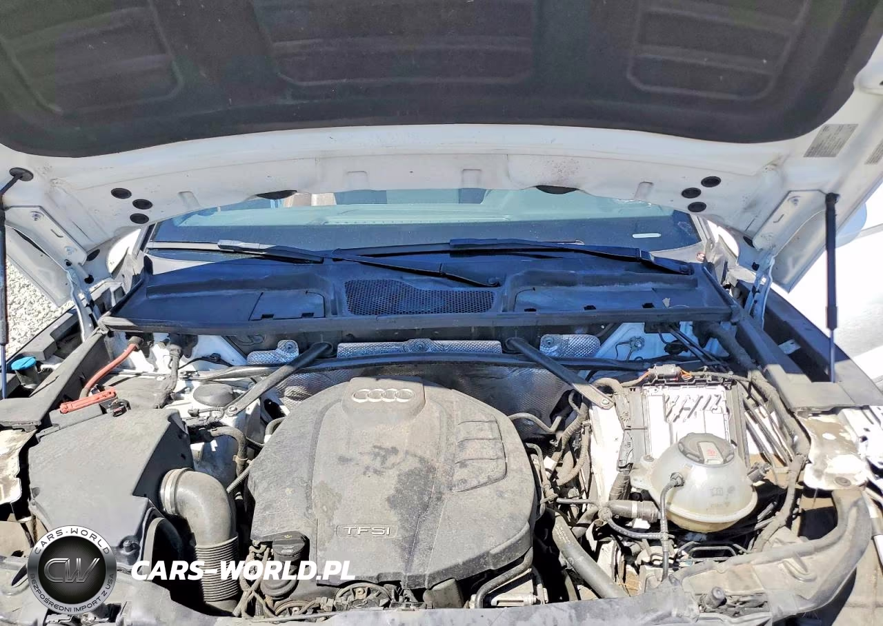2019 Audi Q5 Premium Plus VIN:WA1BNAFY7K2089595 - 12