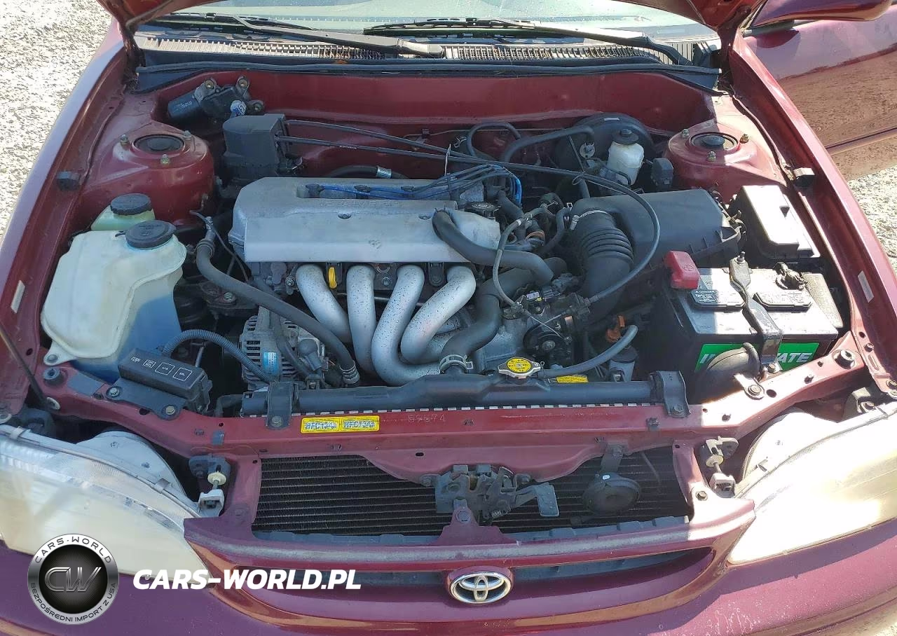 1998 Toyota Corolla Ve VIN:2T1BR18E4WC076792 - 11
