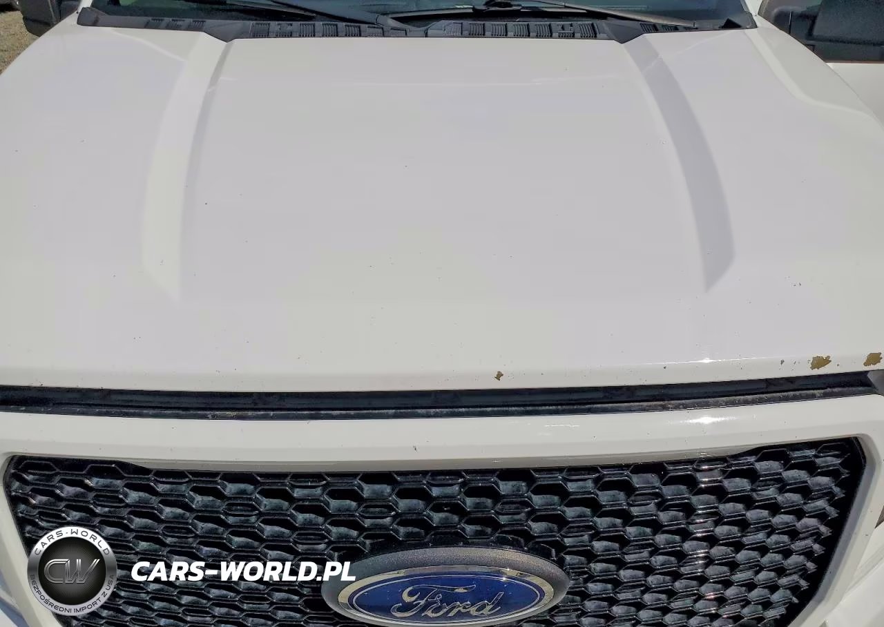 2020 Ford F150 Supercrew VIN:1FTEW1CP1LKE40126 - 11