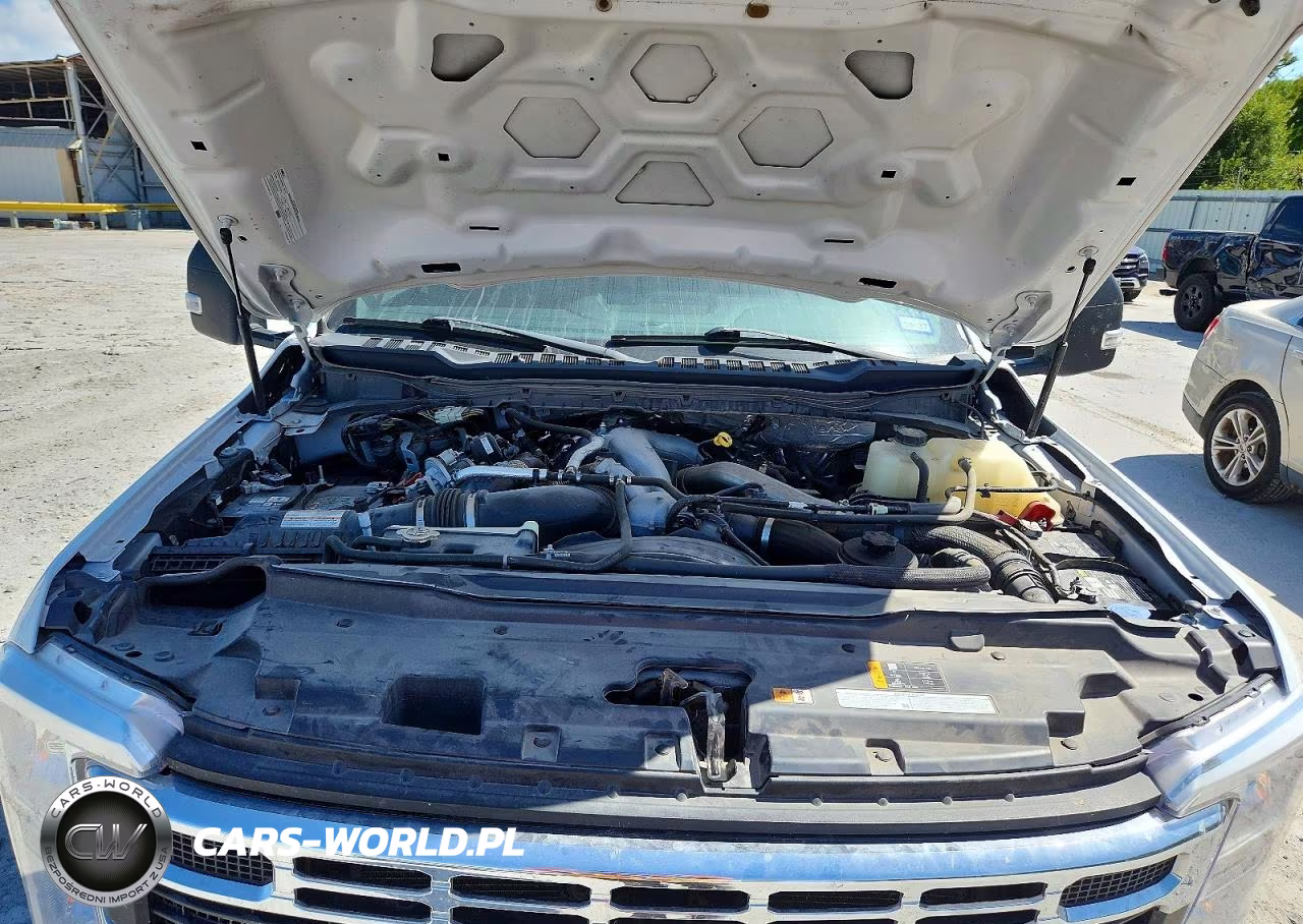 2023 Ford F350 Super Duty VIN:1FT8W3DT3PEC69078 - 11