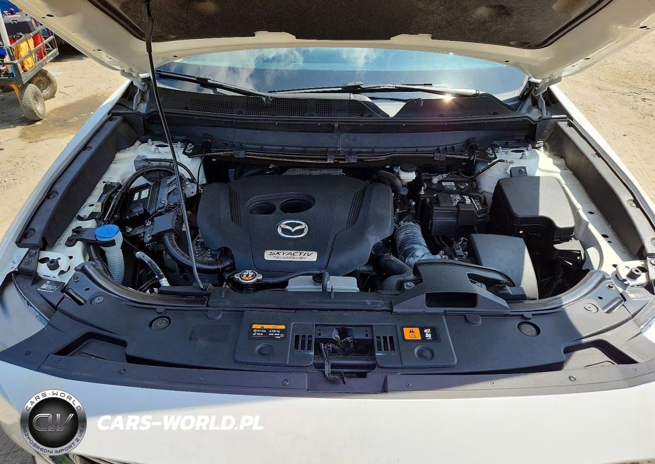 2018 Mazda Cx 9 VIN:JM3TCBCY0J0234861 - 12