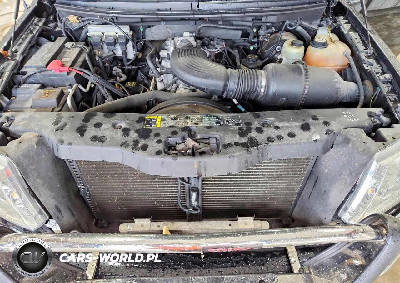 2004 Ford F150 VIN:1FTRX14W54NA62445 - 11