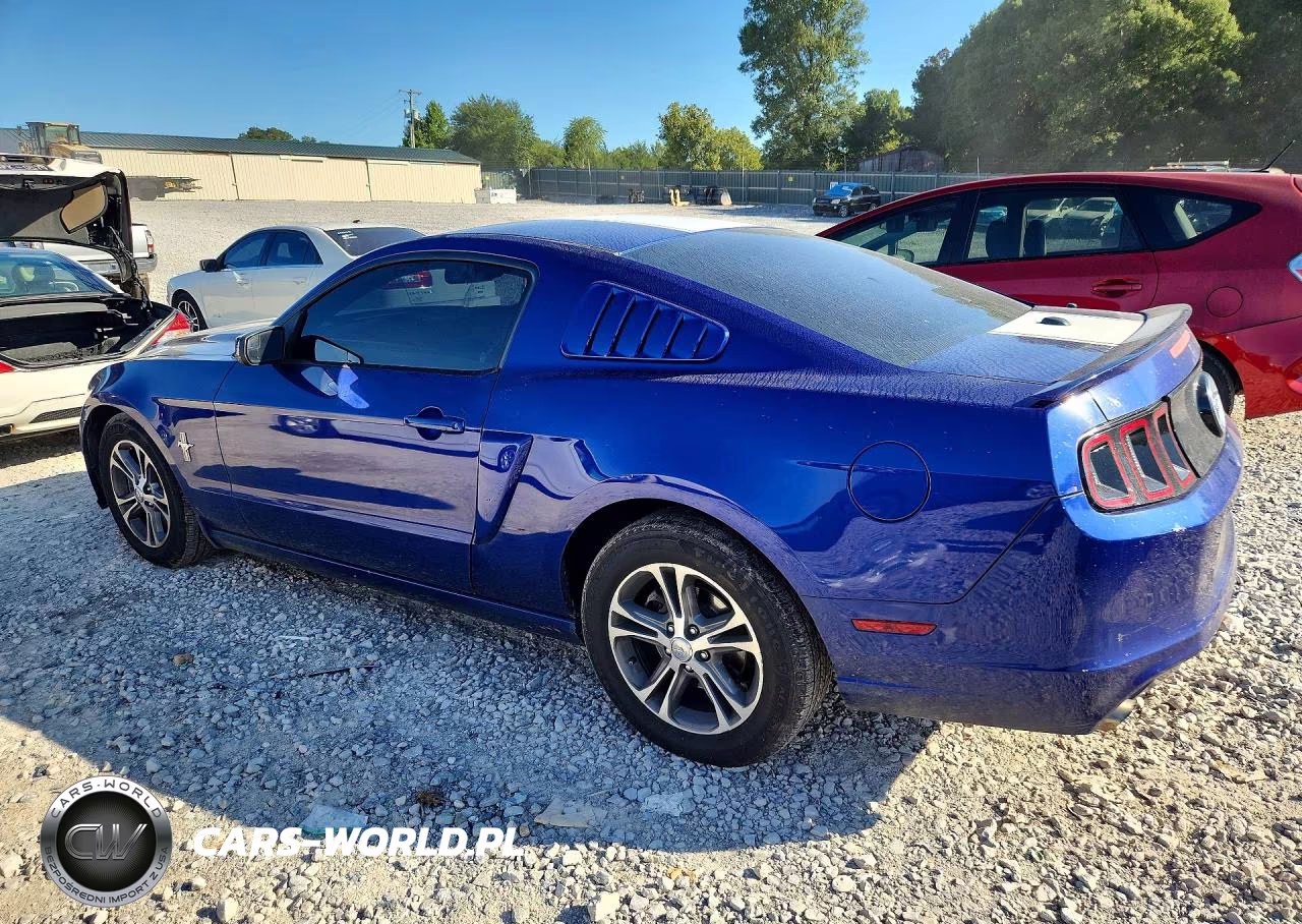 2014 Ford Mustang VIN:1ZVBP8AMXE5308790 - 2